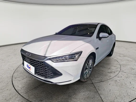 BYD Qin Plus  2024 