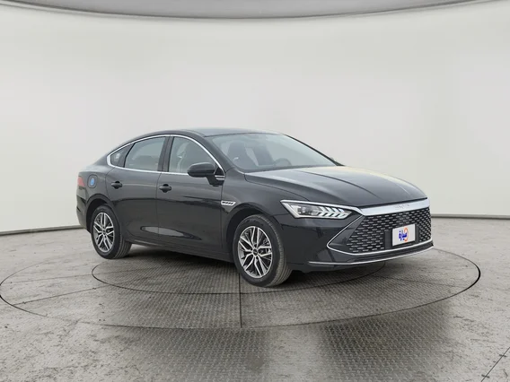 بي واي دي تشين بلس  2024 