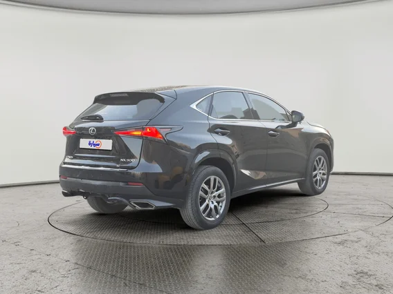 Lexus NX 300 2020 