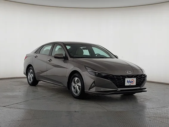 Hyundai Elantra Fleet 2021 