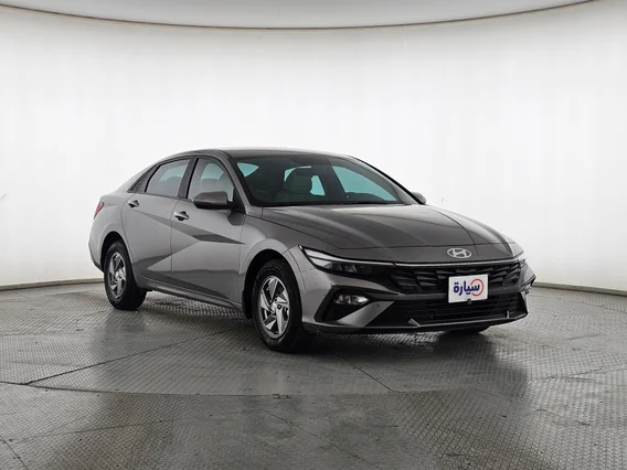 Hyundai Elantra Fleet 2024 