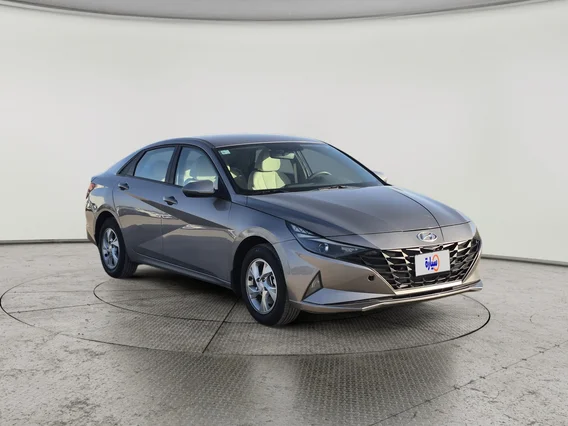 Hyundai Elantra Fleet 2021 