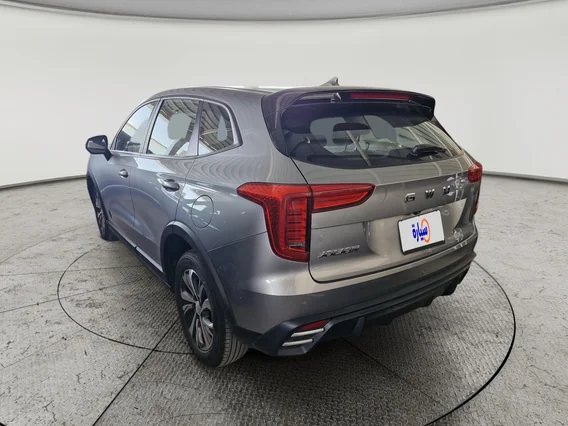 هافال جوليان بيسك 2025 