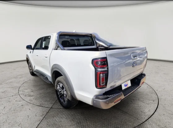 Great Wall Poer Luxury  2024 