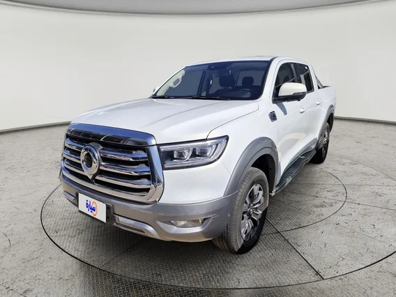 Great Wall Poer Luxury  2024 