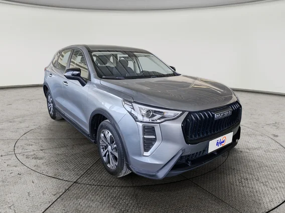 هافال جوليان بيسك 2025 