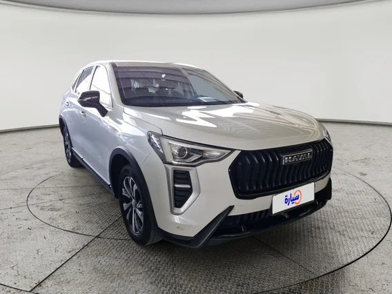 هافال جوليان بيسك 2025 