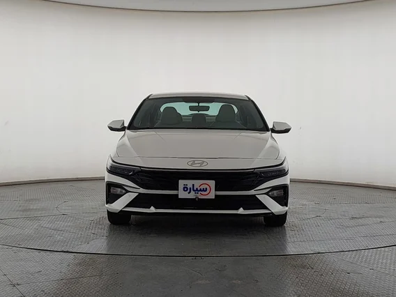 Hyundai Elantra Fleet 2024 