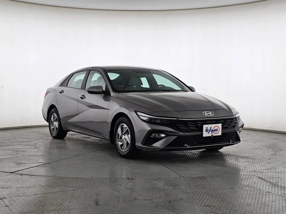 Hyundai Elantra Fleet 2024 