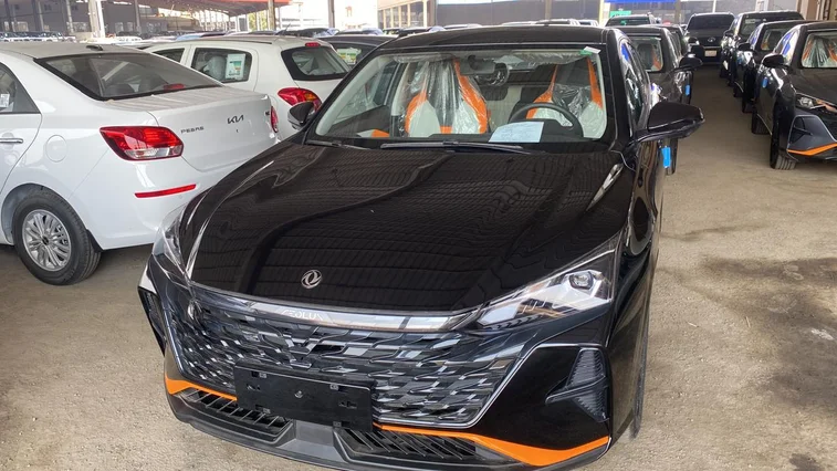 دونج فينج شاين E2 2026 