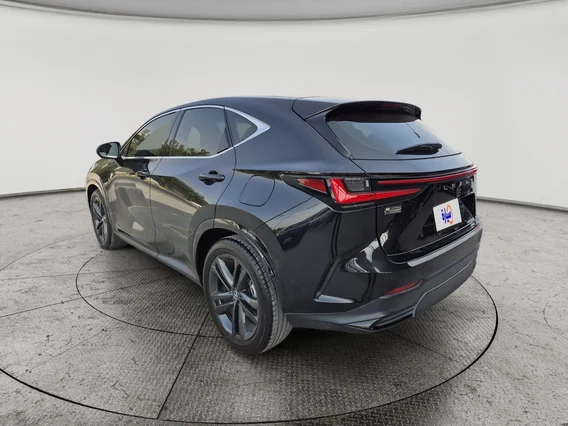 Lexus NX 350h HH 2024 