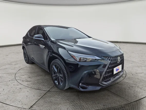 Lexus NX 350h HH 2024 