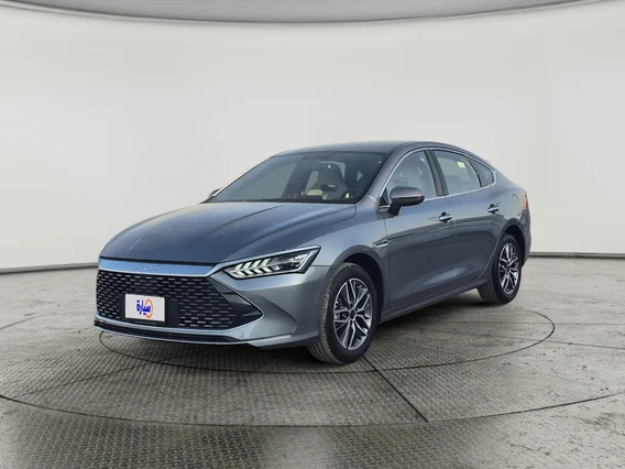 بي واي دي تشين بلس كمفورت 2025 