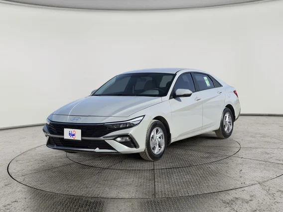 Hyundai Elantra Fleet 2024 