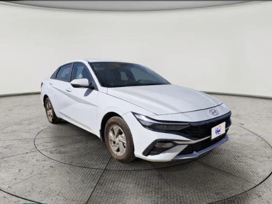 Hyundai Elantra Fleet 2024 