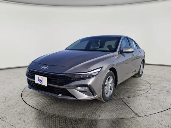 Hyundai Elantra Fleet 2024 