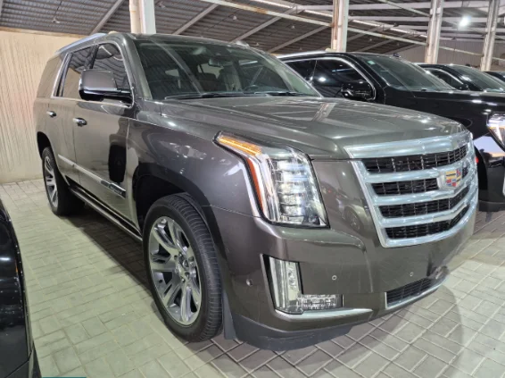 كاديلاك اسكاليد Luxury 2020 