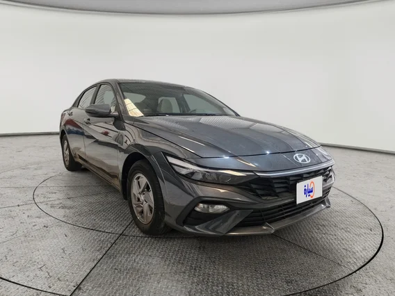 Hyundai Elantra Fleet 2025 