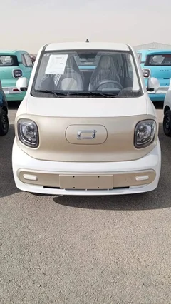 FAW E131 Mini  2025 
