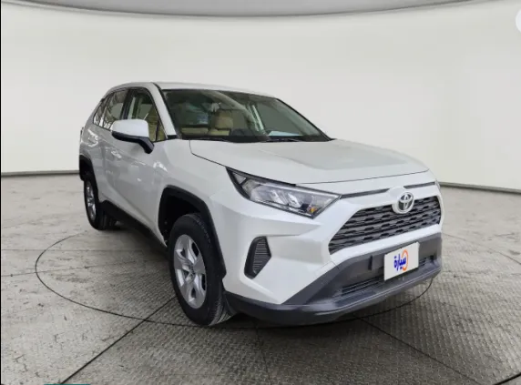 Toyota RAV4 LE 2019 