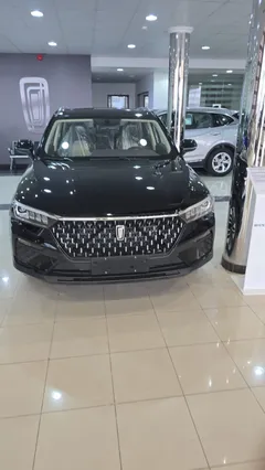 فاو بيستون تي 77 ديلوكس 2026 