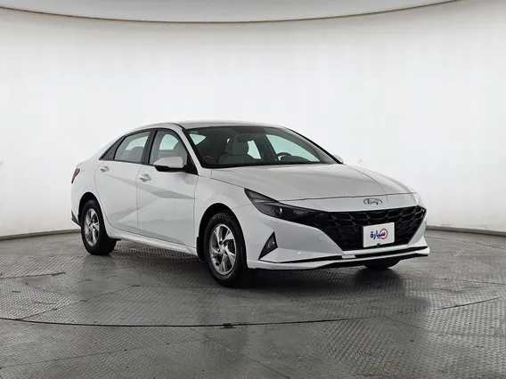Hyundai Elantra Fleet 2021 