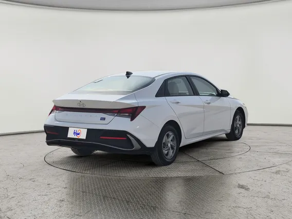 Hyundai Elantra Fleet 2024 
