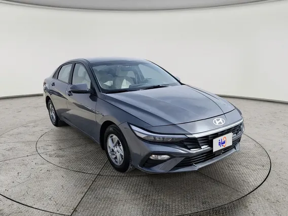 Hyundai Elantra Fleet 2024 