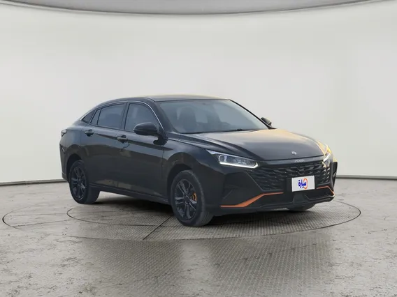دونج فينج شاين E1 2024 