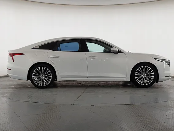 فاو بيستون بي 70 بريميوم 2023 