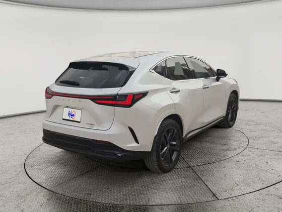 لكزس NX 350 AA Elegant	 2025 