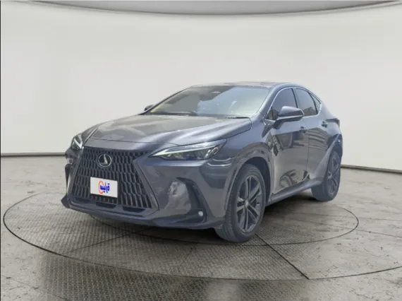 Lexus NX 350h HH 2025 