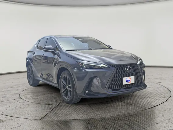 Lexus NX 350h HH 2025 