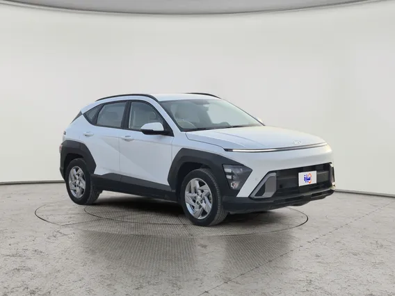 Hyundai Kona Fleet 2024 