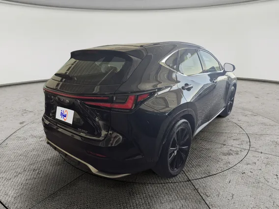 Lexus NX 350 CC 2024 