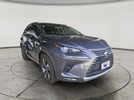 Lexus NX 300 2019 دبل