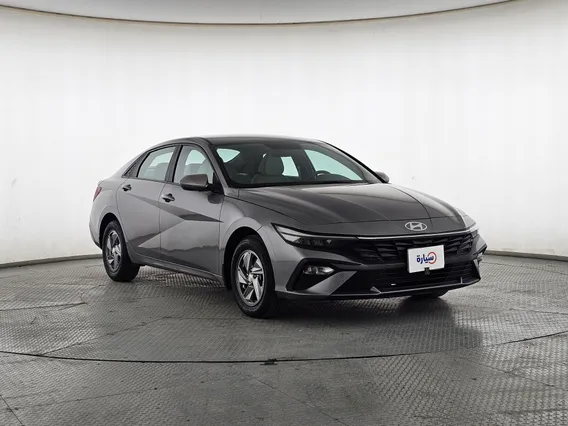 Hyundai Elantra Fleet 2024 