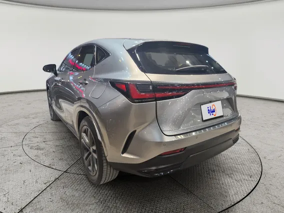 Lexus NX 350h HH 2024 
