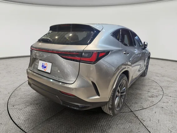 Lexus NX 350h HH 2024 