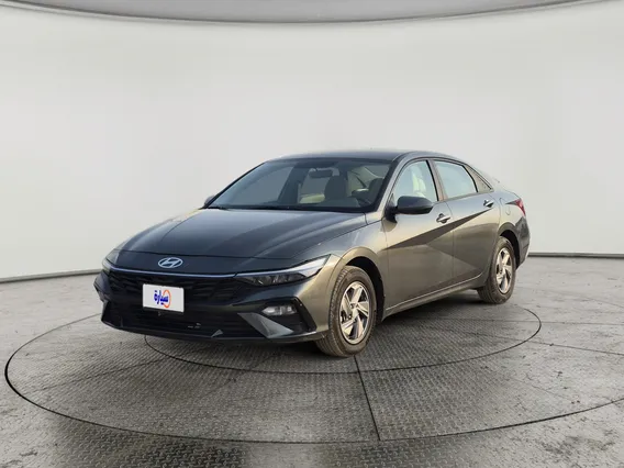 Hyundai Elantra Fleet 2024 