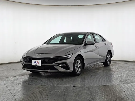 Hyundai Elantra Fleet 2024 