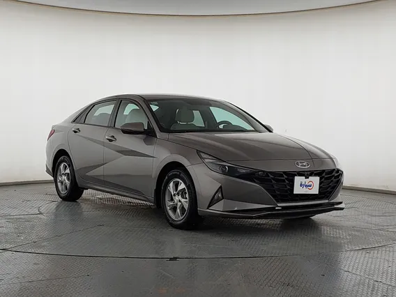 Hyundai Elantra Fleet 2022 