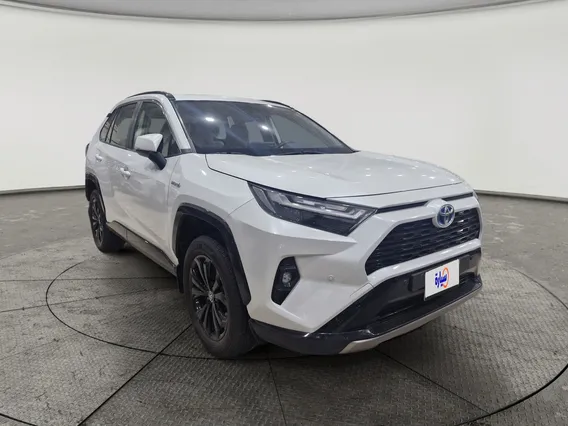 تويوتا راف فور XLE HEV 2024 