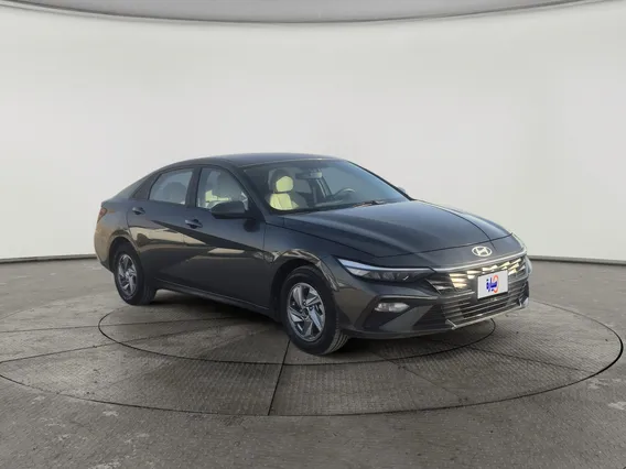 Hyundai Elantra Fleet 2025 