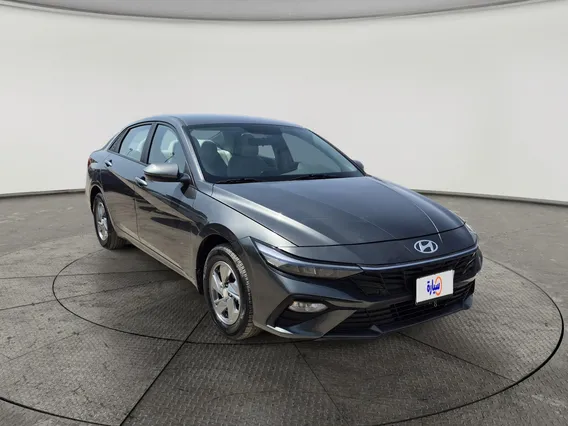 Hyundai Elantra Fleet 2024 