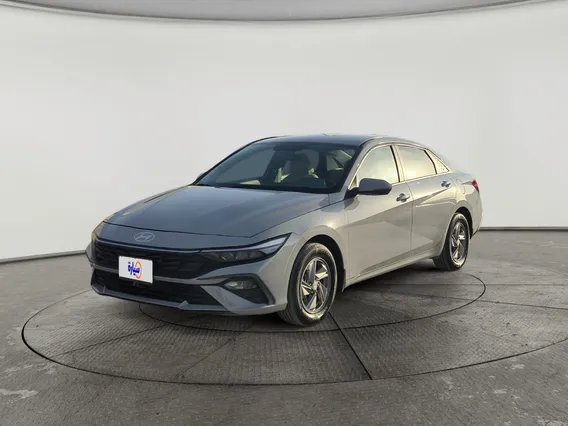 Hyundai Elantra Fleet 2024 