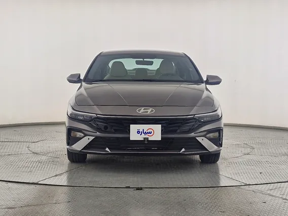 Hyundai Elantra Fleet 2024 