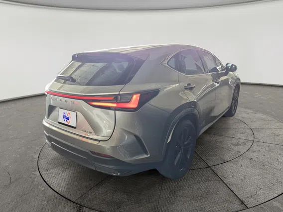 Lexus NX 350 AA Elegant	 2025 