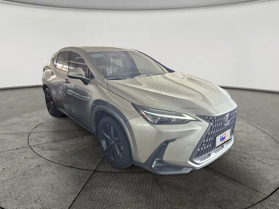 Lexus NX 350 AA Elegant	 2025 