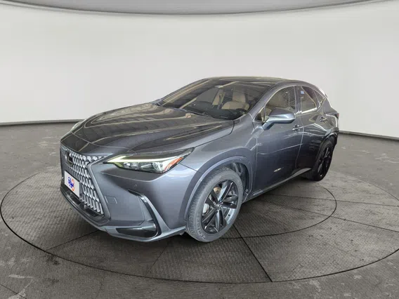 لكزس NX 350 AA Elegant	 2024 